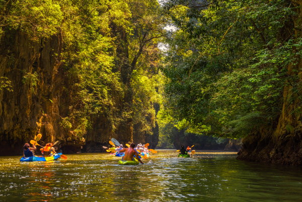 a kayaking phuket tour group works there way through the mangroves