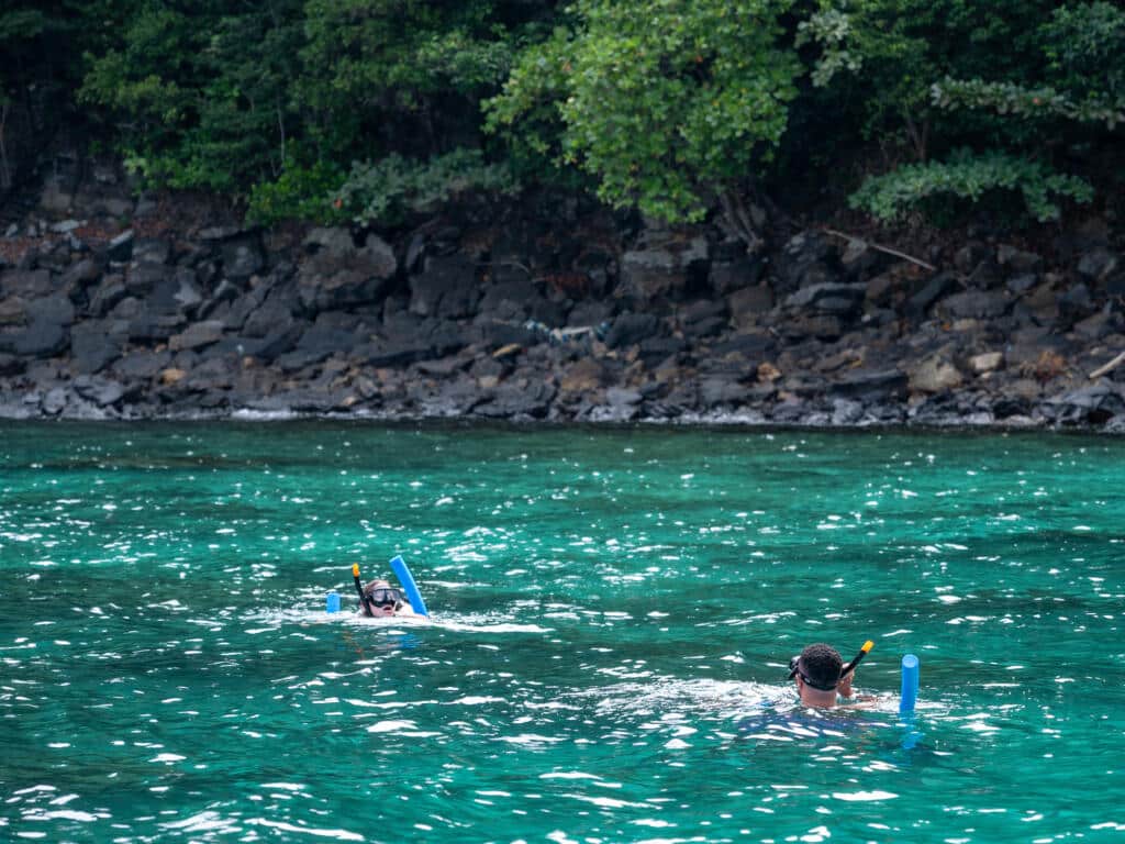 Check Reviews for Service and Safety