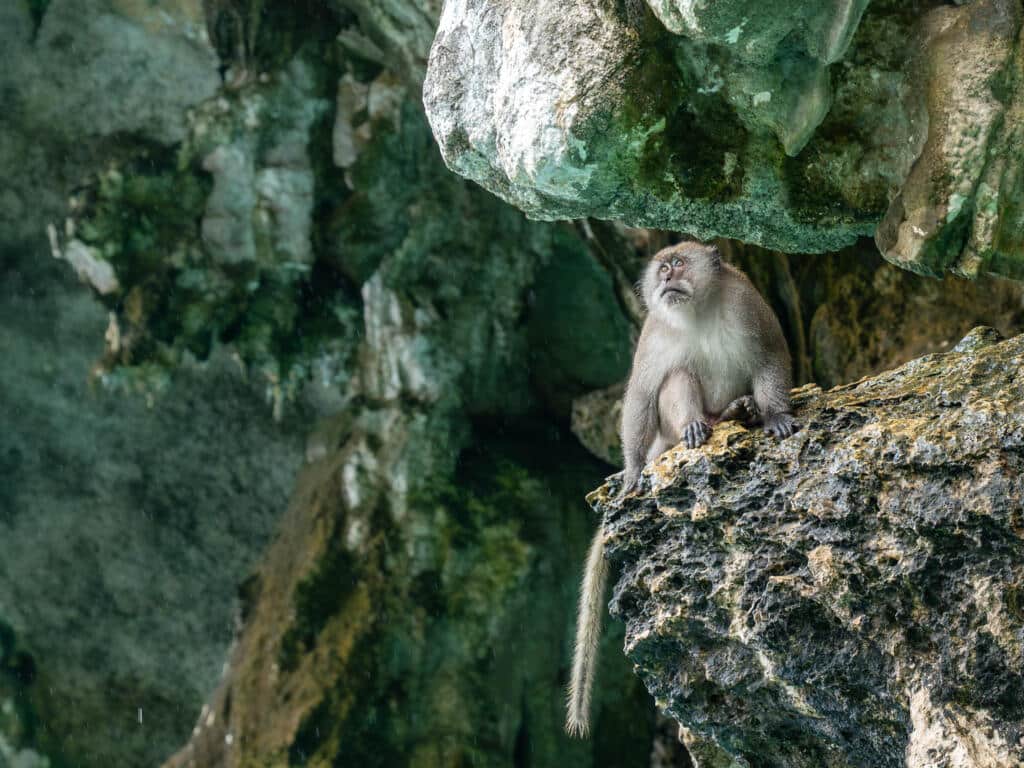 Explore Hidden Corners