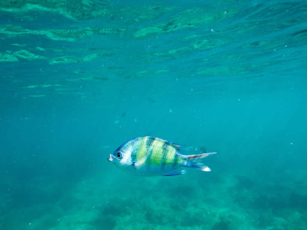 Learn the Stories Behind the Scenery