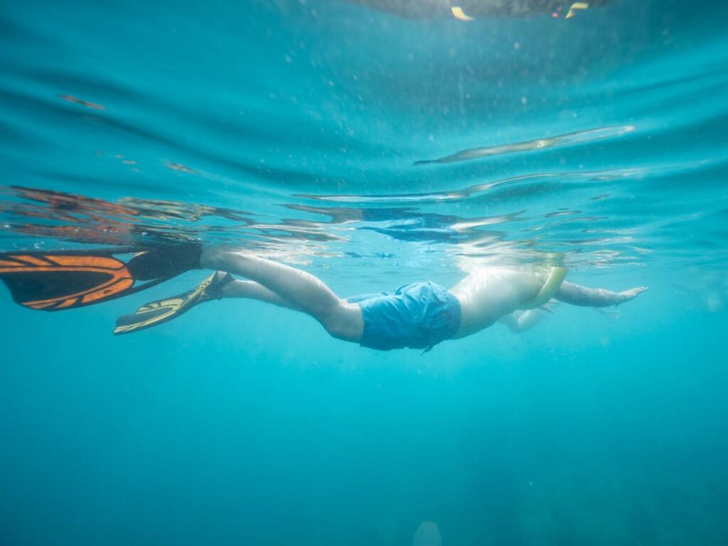 Snorkelling and Iconic Views of Beaches