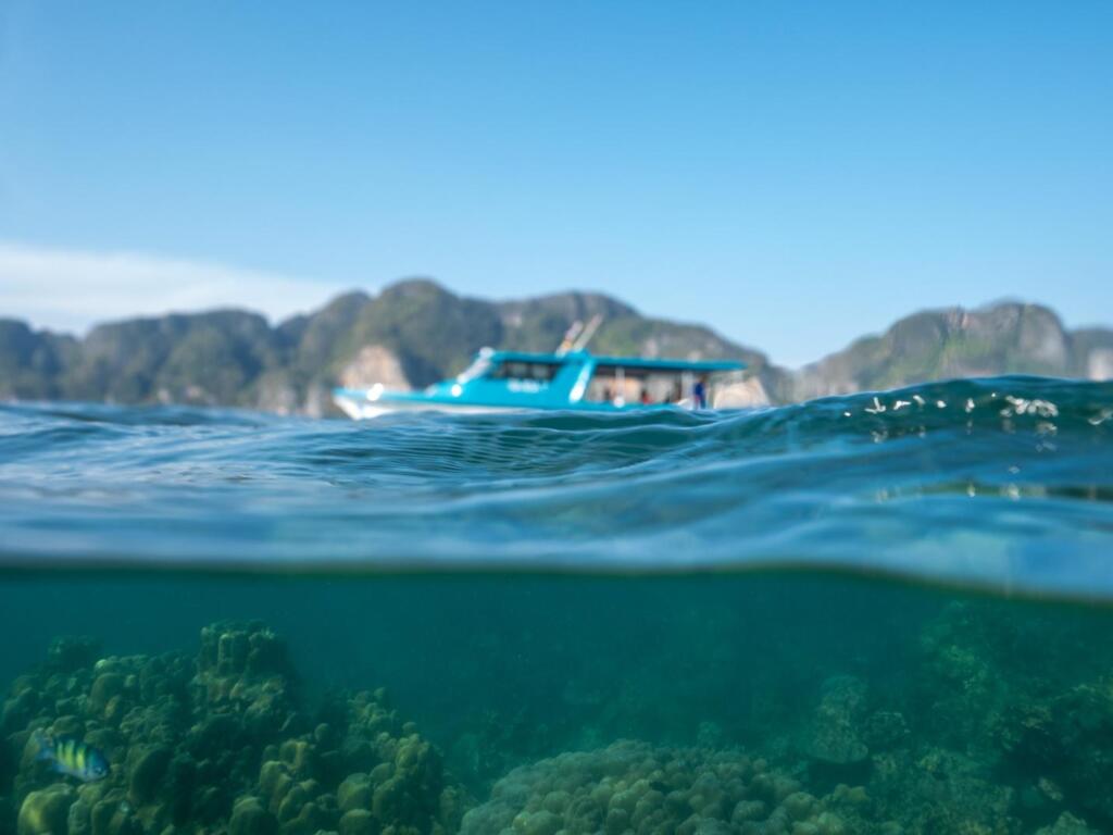 Upgrade Your Trip with a Luxurious Private Charter Tour